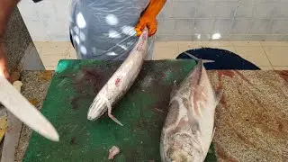 Ultimate Triple Fillet Challenge &ndash; Trevally, Tuna & Sheri Master Cuts | All Over Fish