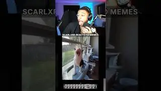 SCARLXRD REACTS TO MEMES #scarlxrd #funny #cats