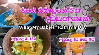 මගේ බබාලගේ එක දවසක කෑම | Baby and Toddler Meal Prep | අවුරුදු 3 1/2 | අවුරුදු 1 ට වැඩි🍛🥪