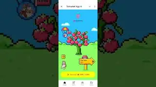 Tomarket 29 august daily combo | tomato app daily combo code today | to market tomato new code today