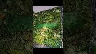 Artificial Grass Bangalore Dual Color. Vertical Garden