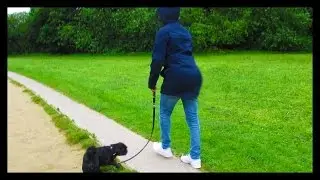 HE HAS A BIG BOOTY - Vlog 8 -