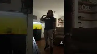 It&rsquo;s a Vibe Most Definitely #itsavibe #chriseanrock #chrisean #blueface #tiktok #sodiah2tru3tv #vibe