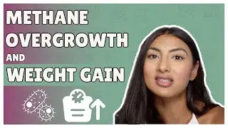 Why are you Gaining Weight with GI Issues? (Methane SIBO)