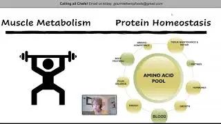 Muscle Metabolism & Protein Homeostasis | Hemp Seeds 101