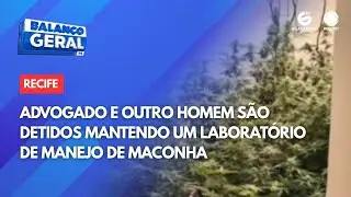 Advogado e outro homem são detidos mantendo um laboratório de manejo de maconha