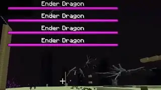 A Chaotic Skyblock Experience