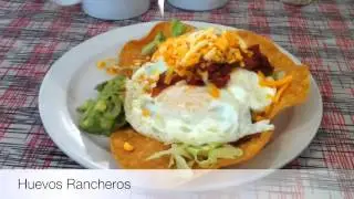 Daily GEMS Video Blog - Sadie's Diner and Juice Bar - Toronto