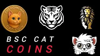 The Rise Of Cat Coins On BSC - Wikicat, Bnblion,Bnbtiger OG And More (Part 1)