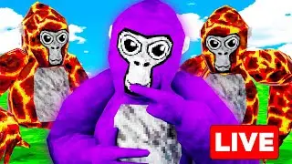 Fan Lobbys With Fans