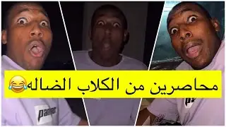 جابر حكمي | امريكيه في الاحد، تحاصروا من الكلاب المفترسه والجن لايفوتكم الضحك مايبي يطلع ترند😹😹💔