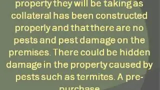 Importance of a Pre Purchase Pest Inspection