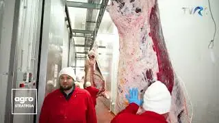Carna Carpatica - cel mai modern abator de bovine și ovine din Rom&acirc;nia