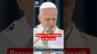Never Grow Weary of Praying | Pope Leo XIV