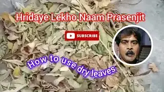 How to use dry leaves