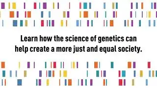 The Genetic Lottery: Why DNA Matters for Social Equality
