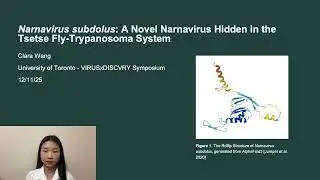 Narnavirus subdolus: A Novel Narnavirus Hidden in Tsetse Fly-Trypanosoma System