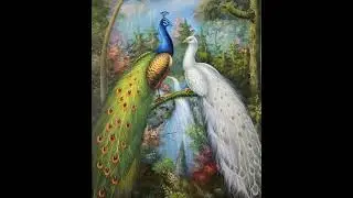 (Arnaldo cigano) polinaia musica cigana 🌟🕊️ (Kim de Leiria)