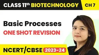 Basic Processes - One Shot Revision | Class 11 Biotechnology Chapter 7 | CBSE 2024-25