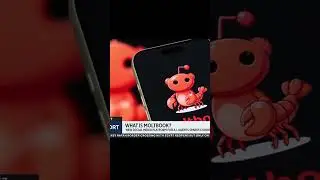 Состоялся запуск платформы Moltbook, которая позиционируется как первая соцсеть для ИИ-агентов.