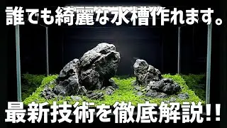 マジで革命起きてます。憧れの綺麗なレイアウト水槽を作るための方法を徹底解説！初心者から上級者まで超必見！#772【アクアリウム】