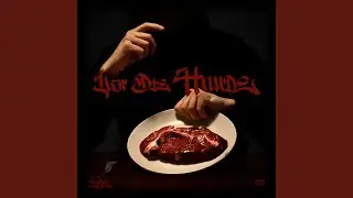 Vor die Hunde
