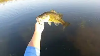 Fall Fishing 2023