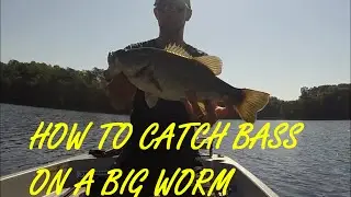How to Catch Bass on a Big Worm