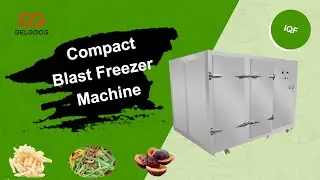 IQF Stainless Steel Blast Freezer/IQF Flash Freezing System Supplier