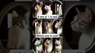 ai quiz #ai #aiart #aiartcommunity #aiquiz #photography #cat #cats #catsoftiktok #meow