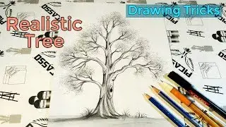 Best trick to draw a Realistic Tree || with pencil || Drawing tutorial