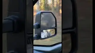 7.3 Powerstroke Rolling Coal!
