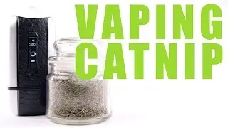 Vaping Catnip in Your Ascent Vaporizer - You Can Vape What?!