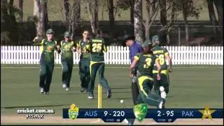 Southern Stars seal series sweep