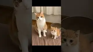 🤩🤩 AI is getting crazy  Follow loveonly.ai  #tiger #wildlife #animals #nature #tigers #art #l