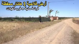 ✨ أرض فلاحية منبسطة 1 هكتار محفظة  قرب الفيلات والفيرمات ✨ تيفلت