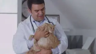 11 Human Foods Your Cat Should Never Eat