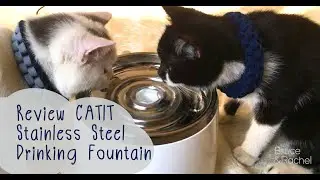 Review Catit Stainless Steel Drinking Fountain(น้ำพุแมว) By Bruce&Rachel