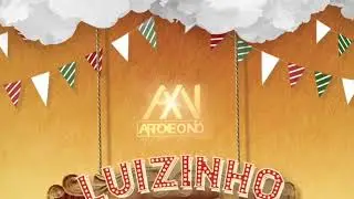Repertório Arroxe o Nó 2024. Luizinho 