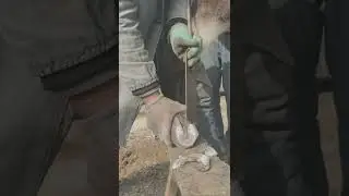 Proceso Sencillo de Recorte de Pezu&ntilde;as de Burro 🦶✂️🐴