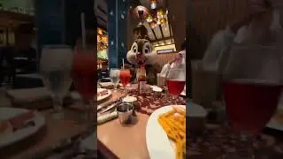 Ваш знак, чтобы пойти на завтрак персонажей в Паркс 😭✨ Внимание, спойлер: это был Дейл🤣 #Disneyla...