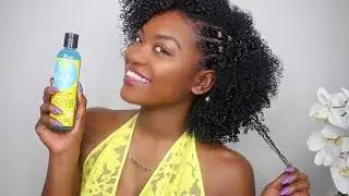 Quick and Easy Wash N Go & Twist on Dry Hair ft Curls Blueberry Bliss  | 15 MIN HAIRSTYLE