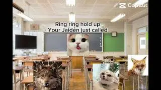 Short edit 4 animal lovers #animals 