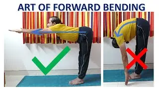 Art of Forward Bending