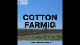 Cotton Farming Training  #skills #learningskills #visioning