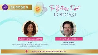 How To Manage Contracts Effectively For Business Success - Marcus Harris | The Butterfly Effect