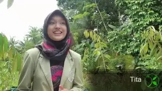 KKN UGM 2016 BANJARNEGARA - Blusukan di Merden Idola