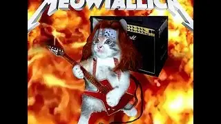 MEOWTALLICA 