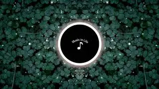 Irish Music(Free copyright)