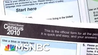 Is It Legal For The Census Bureau To Collect Data On Non-Citizens? | Velshi & Ruhle | MSNBC